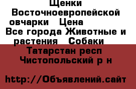 Щенки Восточноевропейской овчарки › Цена ­ 25 000 - Все города Животные и растения » Собаки   . Татарстан респ.,Чистопольский р-н